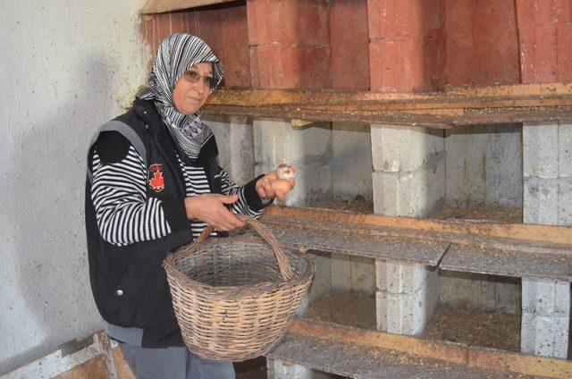 Hobisini gelir kapısına çevirdi