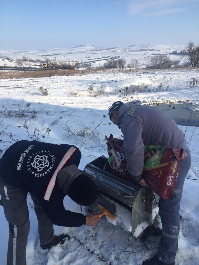 Süleymanpaşa Belediyesi sokak hayvanlarını unutmadı