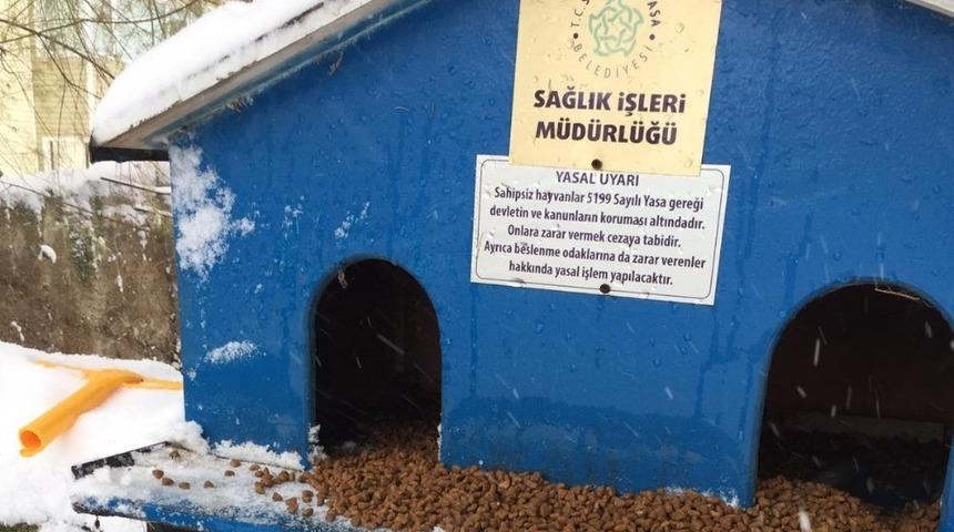 S&uuml;leymanpaşa Belediyesi sokak hayvanlarını unutmadı
