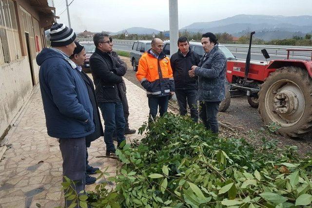 Akçakoca’da defne tatbikatı