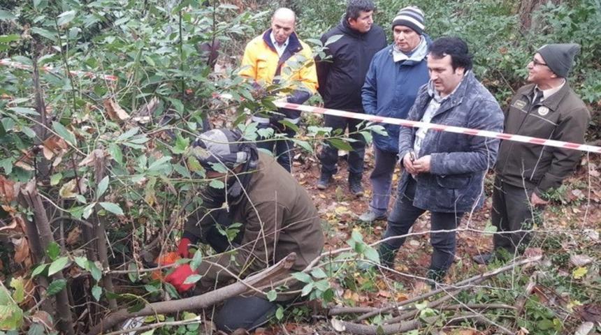 Ak&ccedil;akoca&rsquo;da defne tatbikatı
