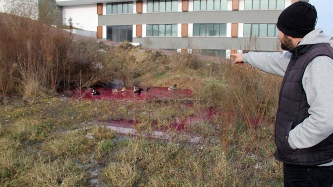 B&uuml;y&uuml;k panik! &lsquo;Burada birdenbire kırmızı bir su belirdi&rsquo;