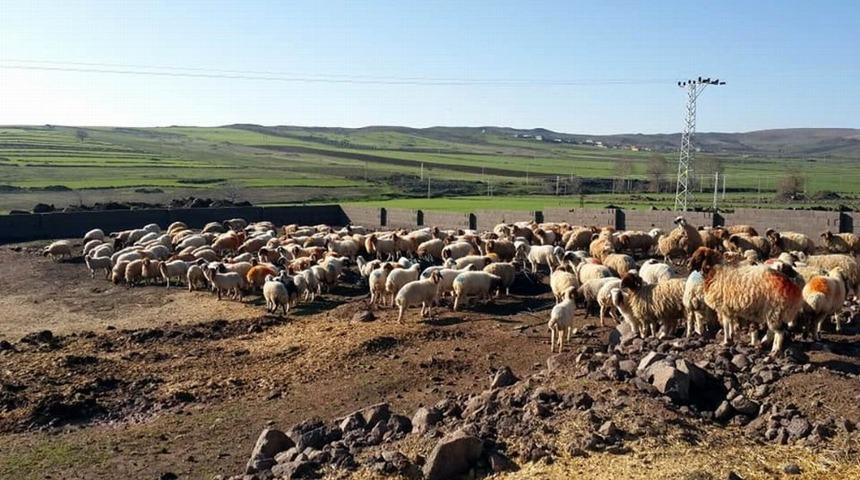 &Uuml;reticiye destek s&uuml;r&uuml;yor