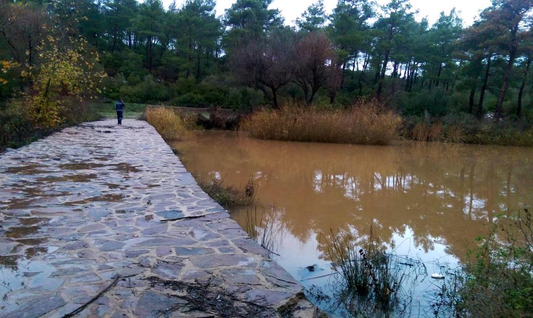 Su seviyesi bir t&uuml;rl&uuml; y&uuml;kselmeyince ortaya &ccedil;ıktı 
