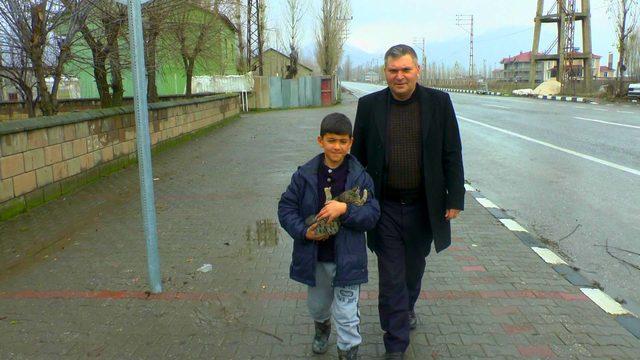 Ayağı kırılan kediye 9 yaşındaki Abdulsamet sahip çıktı