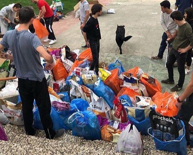 Kampüsteki sahipsiz hayvanların bakımı onlardan soruluyor