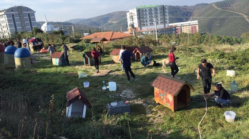 Kamp&uuml;steki sahipsiz hayvanların bakımı onlardan soruluyor