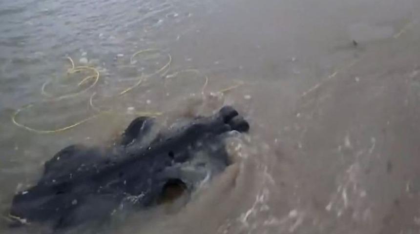 Velox adında y&uuml;zerek karaya &ccedil;ıkabilen robot geliştirildi