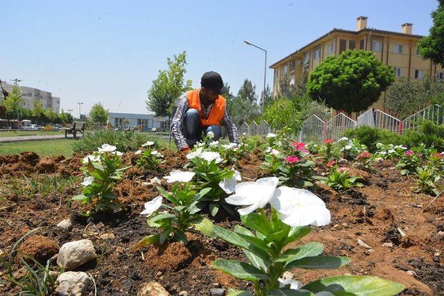 Ceylanpınar’da yeşil alanların sayısı artıyor