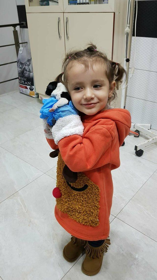  Kimyon , sezaryenle 11 yavru d&uuml;nyaya getirdi 3