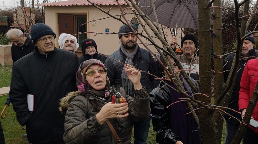 Budama eğitimleri devam ediyor