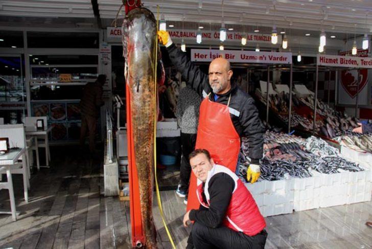 Dev balığı gören bakakaldı!  G1