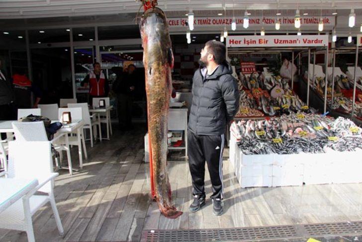 Dev balığı gören bakakaldı!  G4