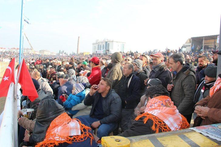 Develer arenaya sığmadı G2