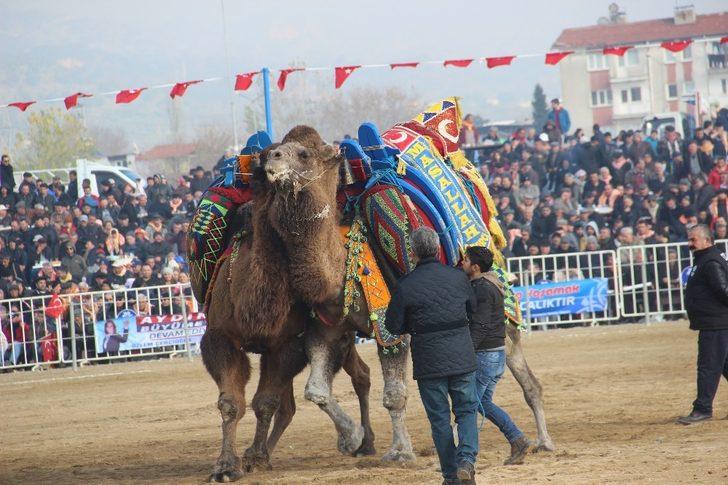 Develer arenaya sığmadı G3