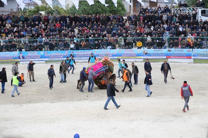 Demre’de deve güreşi heyecanı yaşandı G1