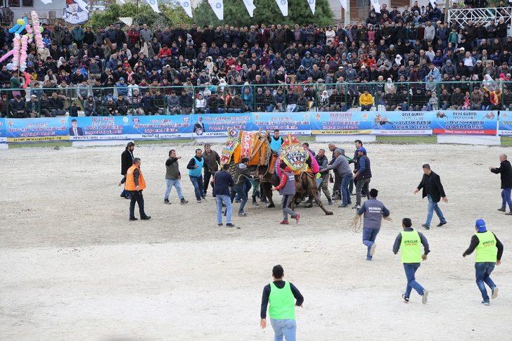 Demre’de deve güreşi heyecanı yaşandı G2