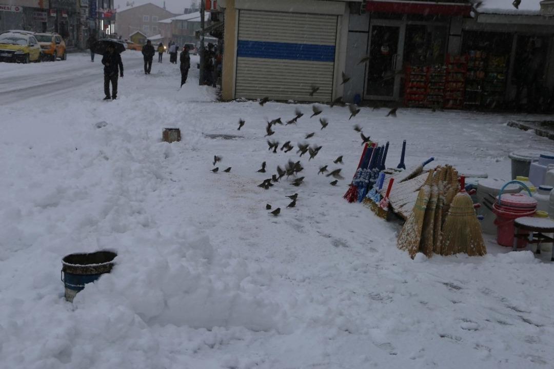 Varto&rsquo;da kar yağışı