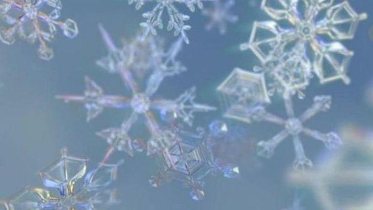 Karla ilgili bu gerçeklere çok şaşıracaksınız G2