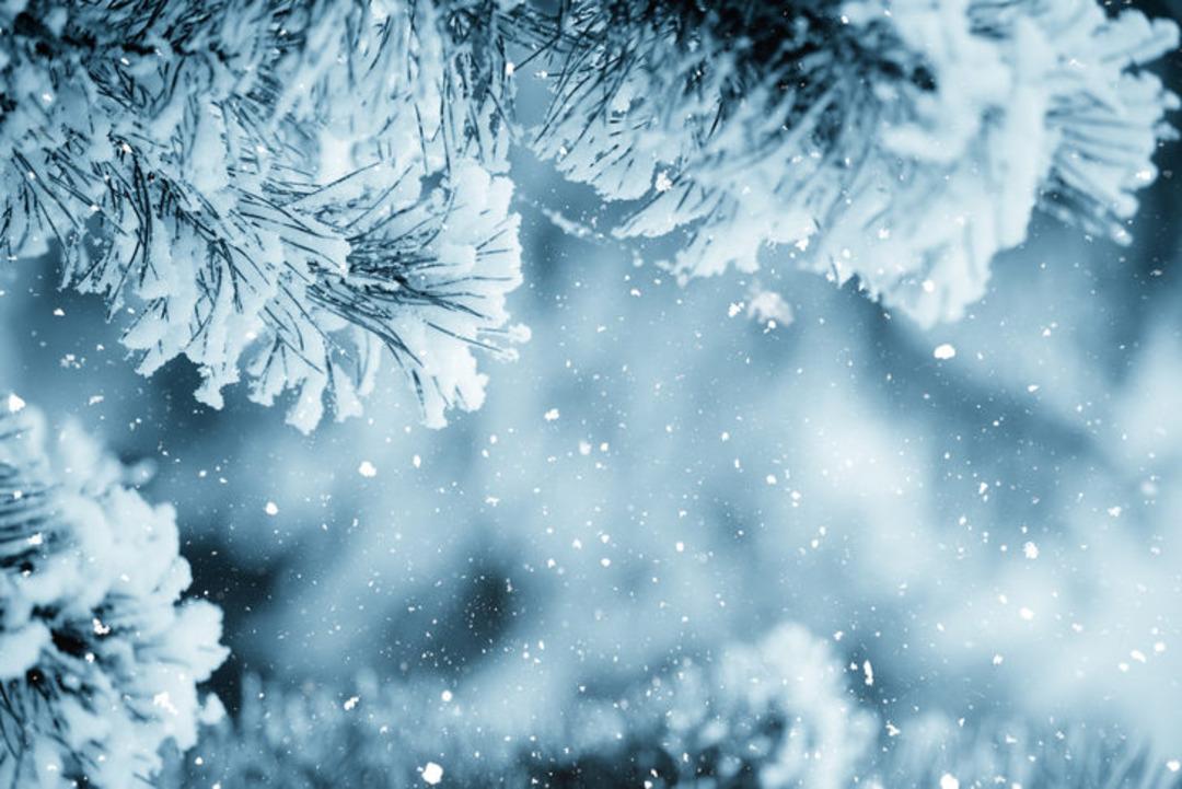 Karla ilgili bu ger&ccedil;eklere &ccedil;ok şaşıracaksınız