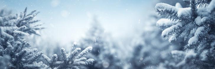 Karla ilgili bu gerçeklere çok şaşıracaksınız G5