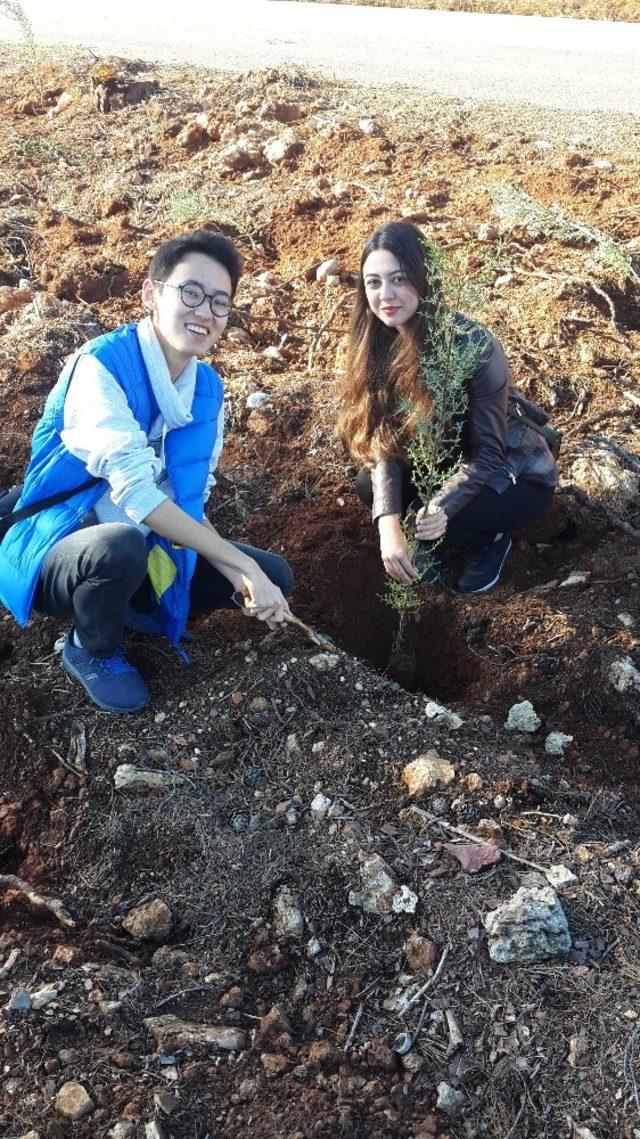 Diş Hekimliği Fakültesi’nden Fidan Dikme Etkinliği