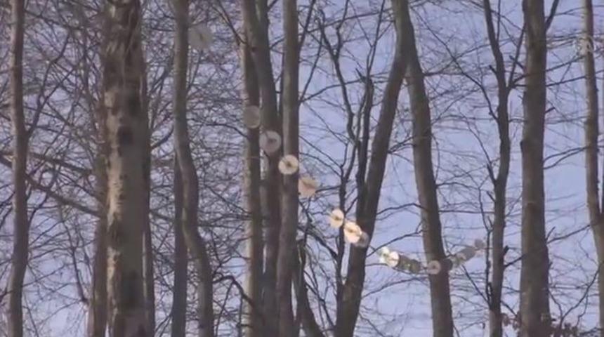 Köylüler isyan etti! Her yere CD'leri astılar