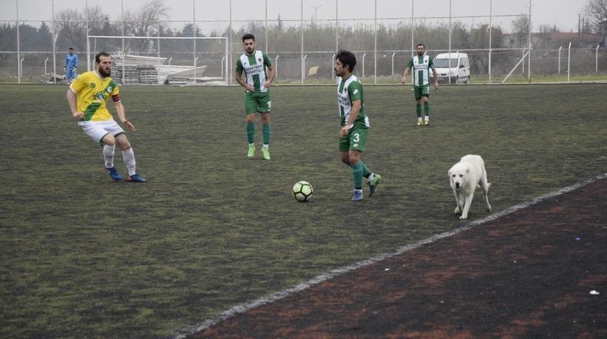 Amat&ouml;r ma&ccedil;ta s&uuml;rpriz misafir