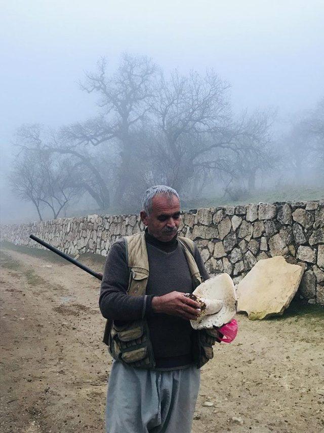 Dev mantar vatandaşların ilgi odağı oldu