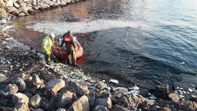 İzmit Körfezi'ne sızan palm yağı temizleniyor