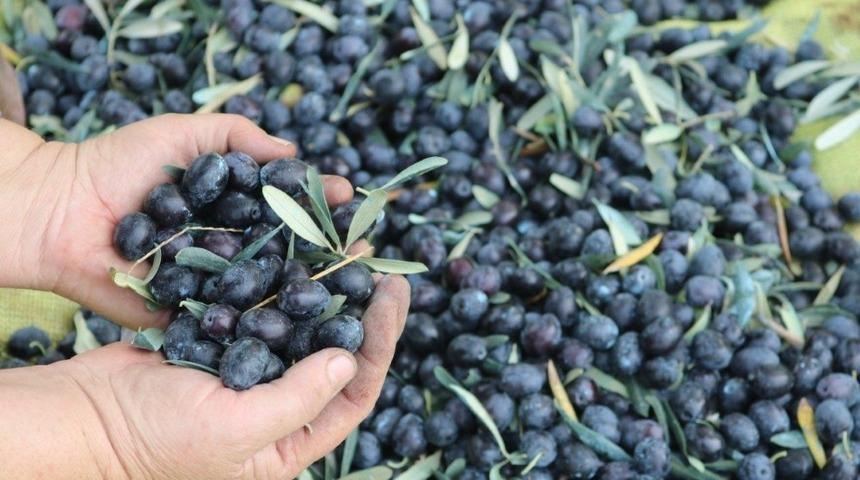 Marmarabirlik y&uuml;zleri g&uuml;ld&uuml;rd&uuml;