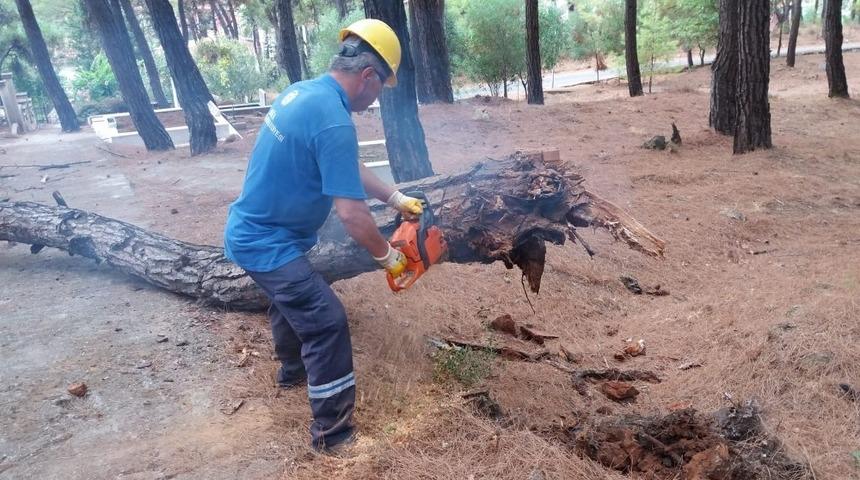 Mezarlık temizliği ihtiya&ccedil; sahiplerine yakacak olarak d&ouml;n&uuml;yor