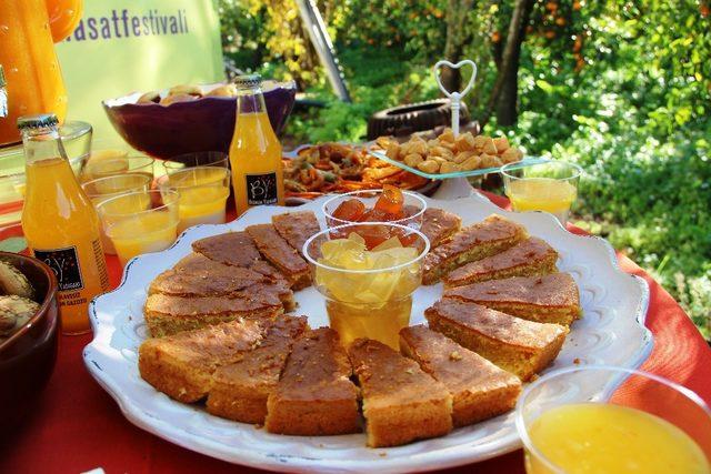 Bodrum Mandalina Hasat Festivali Başlıyor