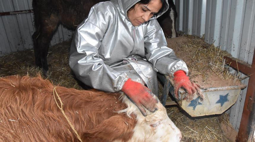 Dana 'Yunus'un bacağı, bedenini taşıyamıyor
