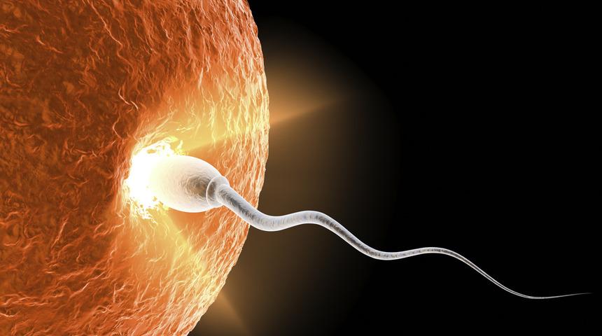 Balık mucizesi! Bakın spermlere nasıl etki ediyor?