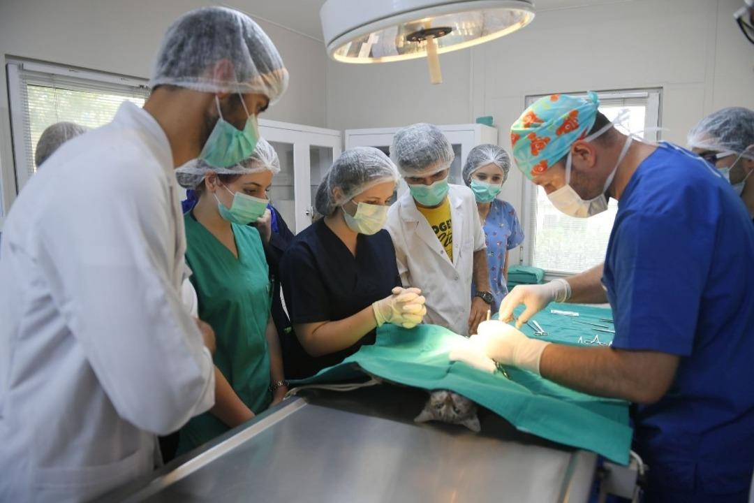 Sokak hayvanları sahipsiz kalmadı