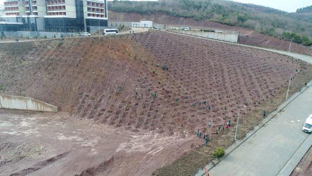 Umuttepe Kampüsü 10 bin ağaçla yeşilleniyor