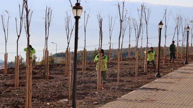 Umuttepe Kampüsü 10 bin ağaçla yeşilleniyor