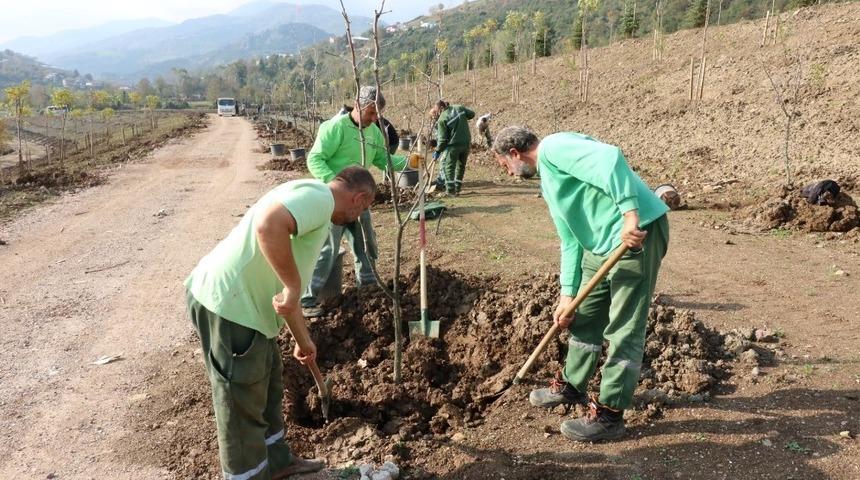 Umuttepe Kampüsü 10 bin ağaçla yeşilleniyor