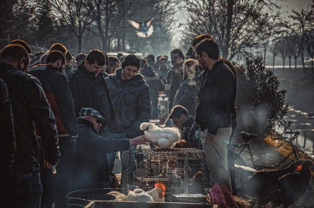 Adapazarı’nın en iyi fotoğrafları belirlendi