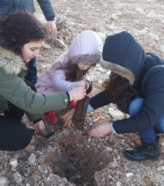 Mercan Koleji’nde fidan dikimi gerçekleştirildi