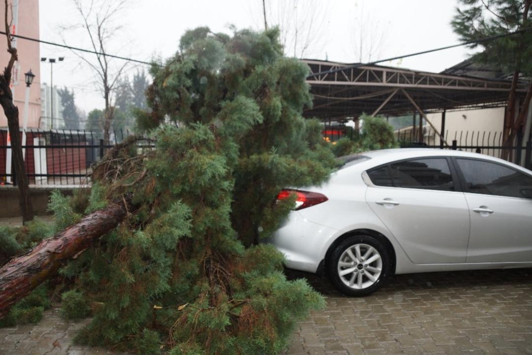Telefon telleri, arabayı kurtardı