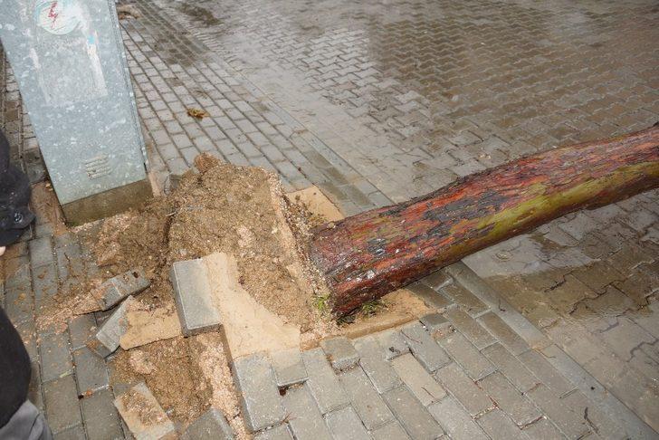 Telefon telleri, arabayı kurtardı G3