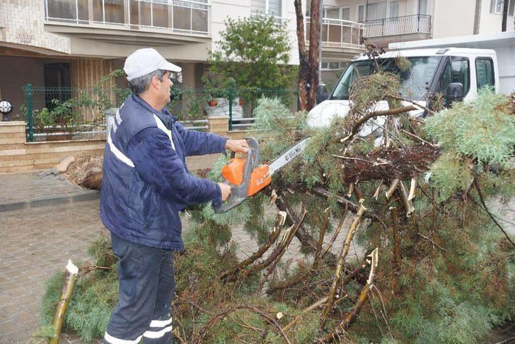 Telefon telleri, arabayı kurtardı G5