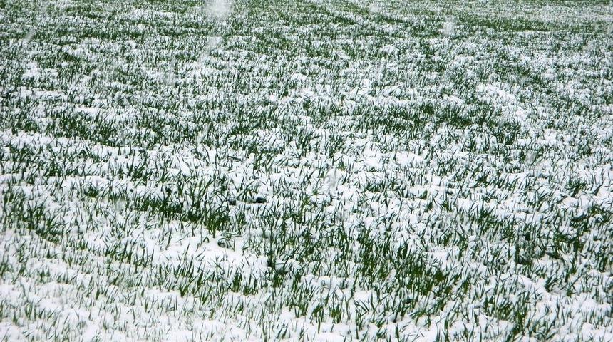 Meteoroloji&rsquo;den zirai don uyarısı