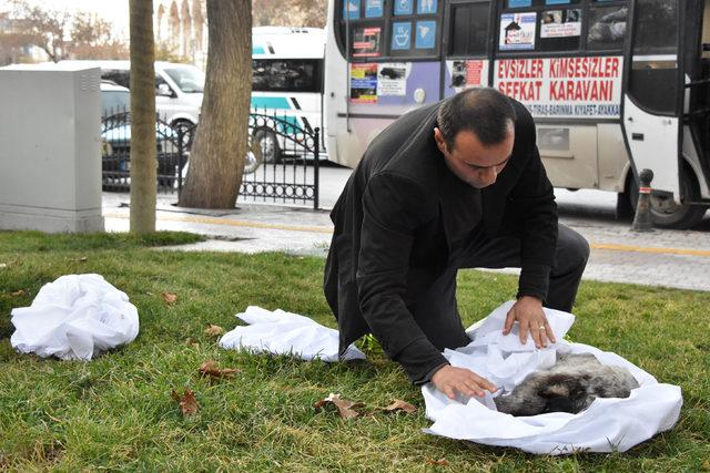 Köpek ölülerini kefenleyip belediye binası önüne getirdi