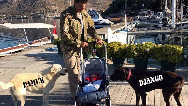 Tanem Sivar'ın köpeklerinin zehirlenmesi davasında, tüfek için bilirkişi raporu istendi