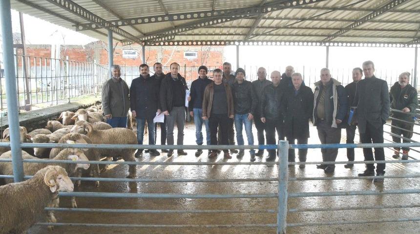 Yetiştiriciler, ko&ccedil;larını teslim aldı