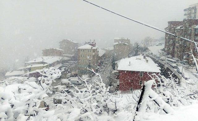 Gümüşhane’de kar yağışı