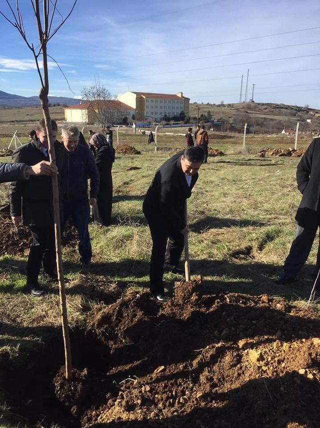 Pazaryeri MYO bahçesine 150 fidan dikildi